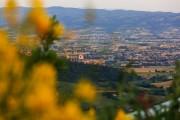 Castello di Petrata Country House