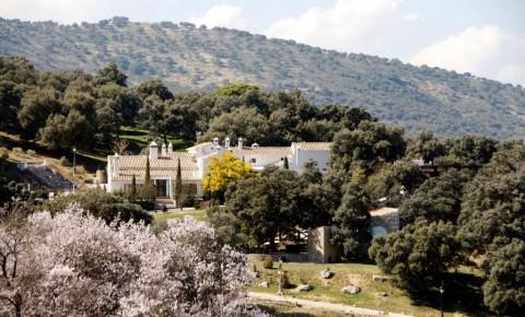 Los Pilares de Ronda