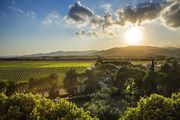 L'Andana Tenuta La Badiola