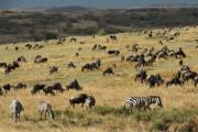 Mahali Mzuri