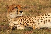 Mahali Mzuri