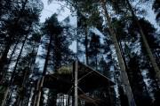 Treehotel